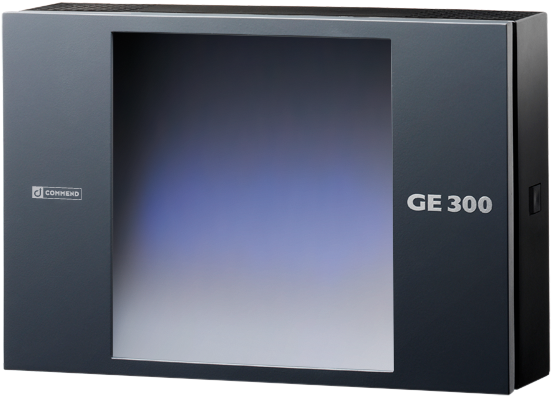 GE 300